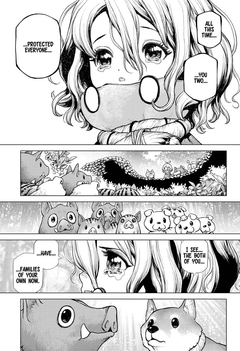 Dr Stone Chapter 212 Page 13