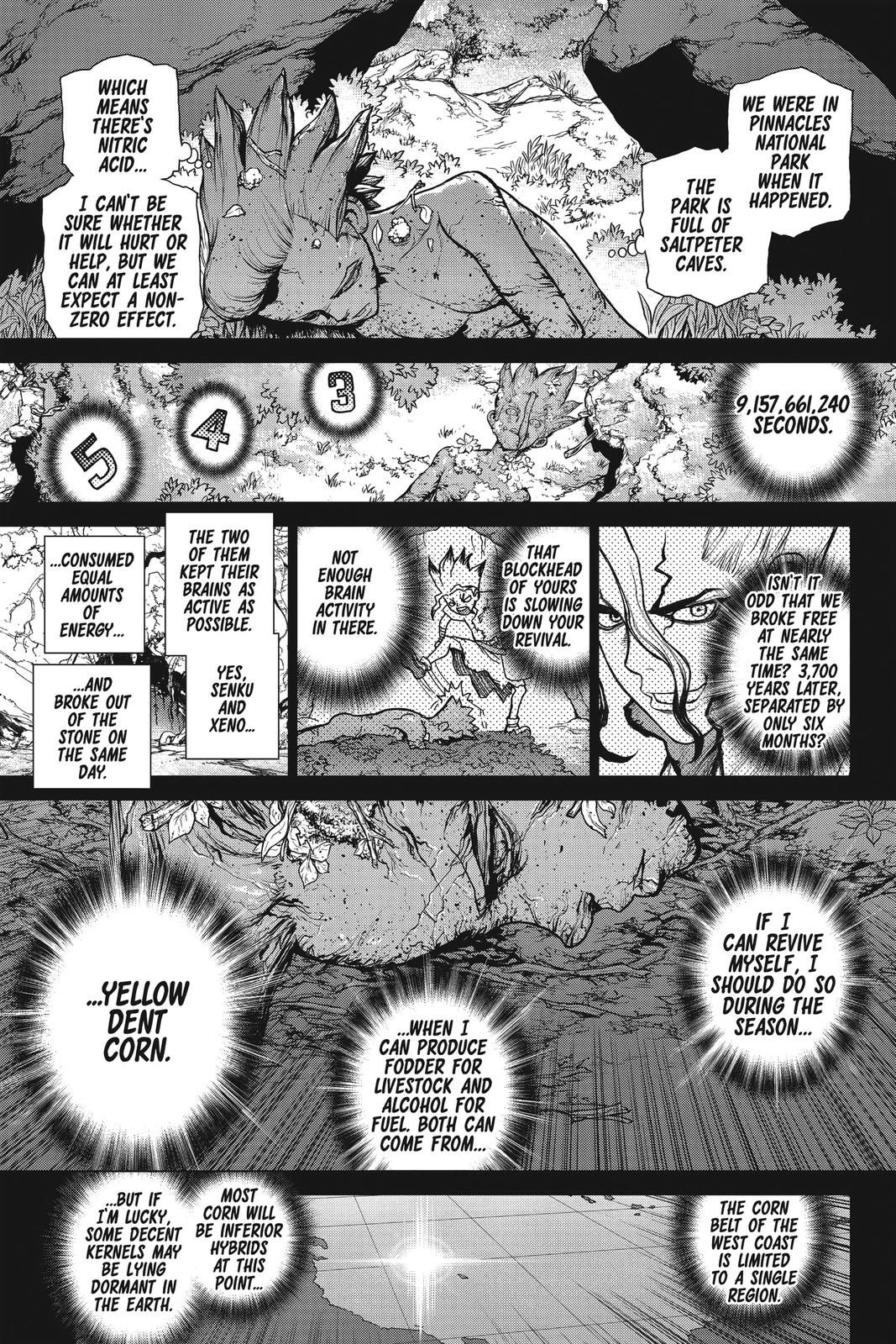 Dr Stone Chapter 157 Page 14