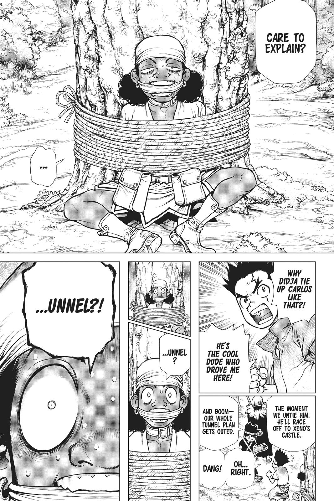 Dr Stone Chapter 162 Page 15