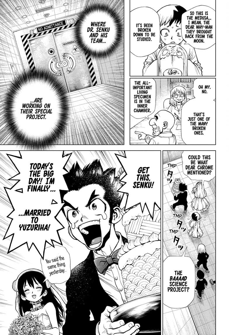 Dr Stone Chapter 232 Page 13