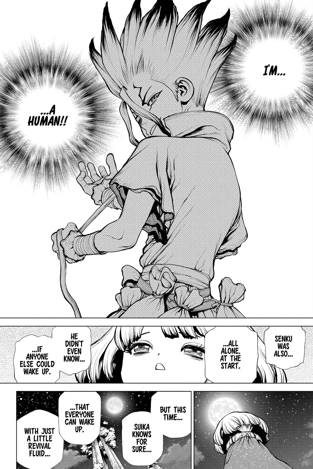 Dr Stone Chapter 194 Page 15
