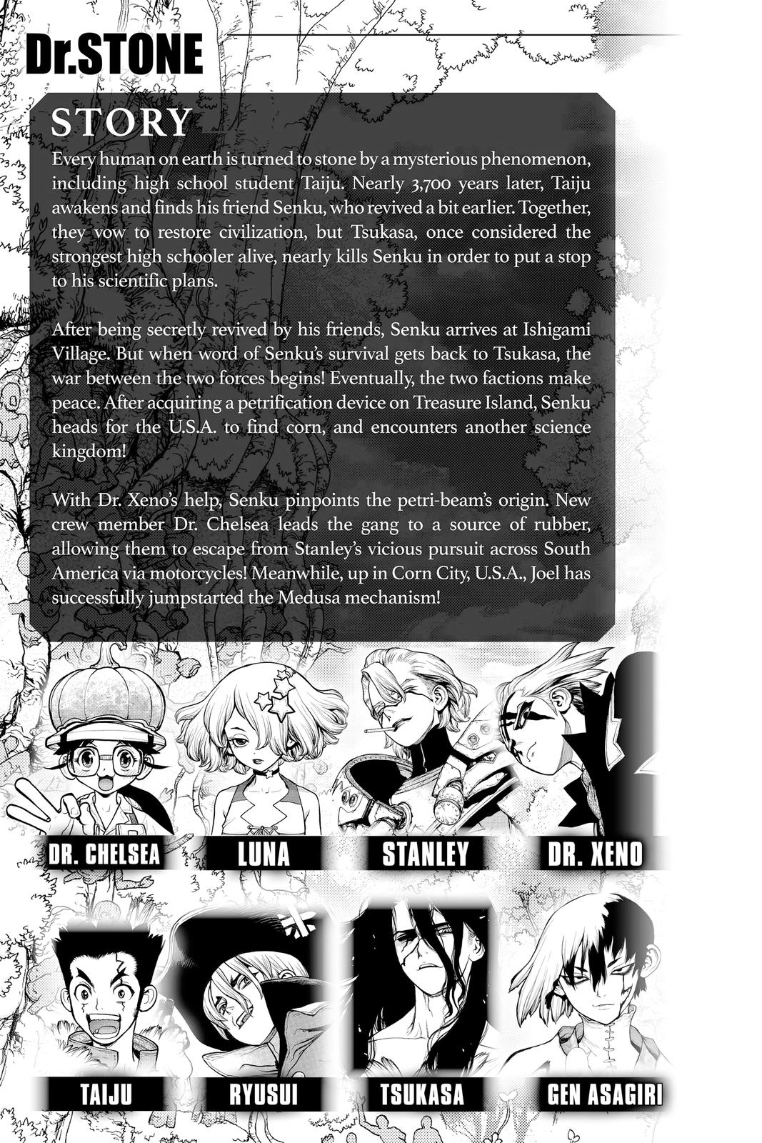 Dr Stone Chapter 179 Page 4