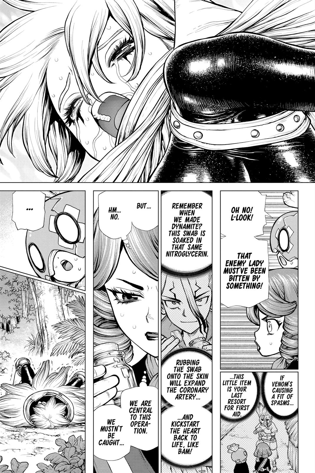 Dr Stone Chapter 185 Page 14