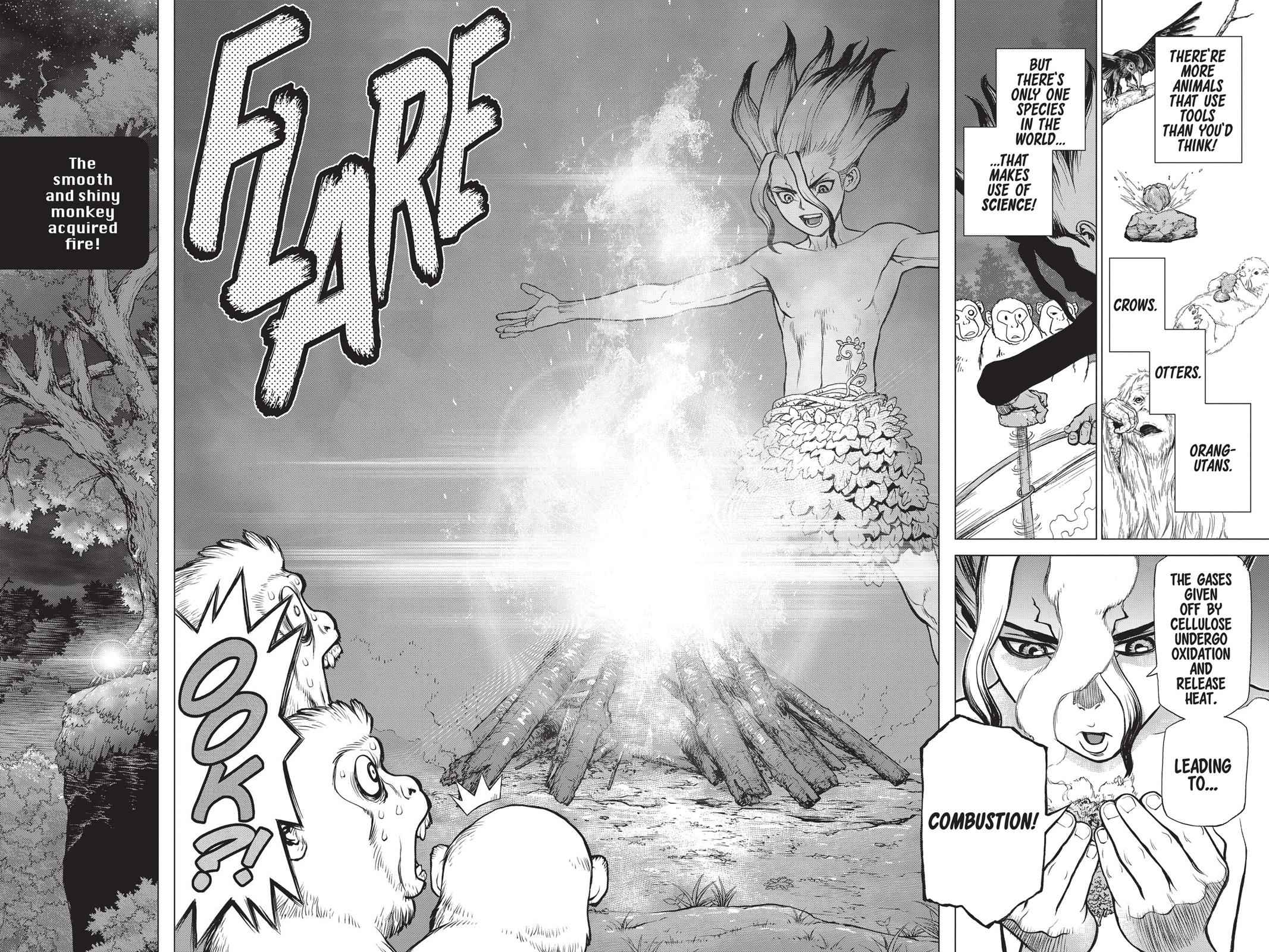 Dr Stone Chapter 13 Page 15
