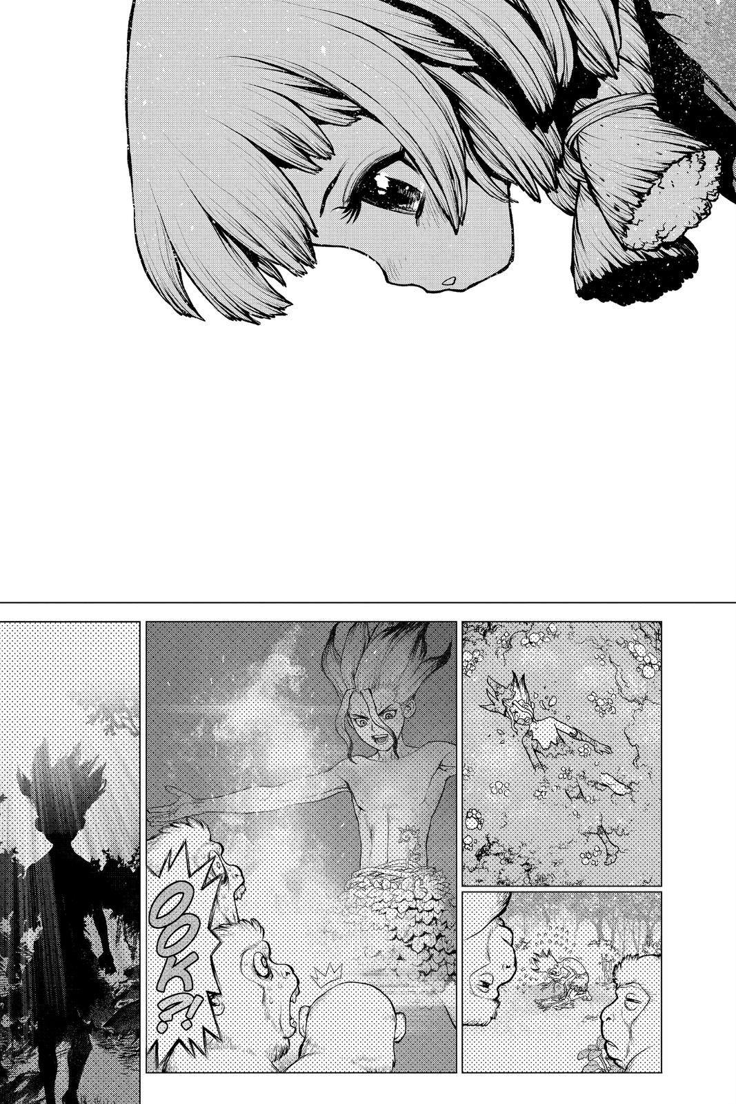 Dr Stone Chapter 194 Page 14
