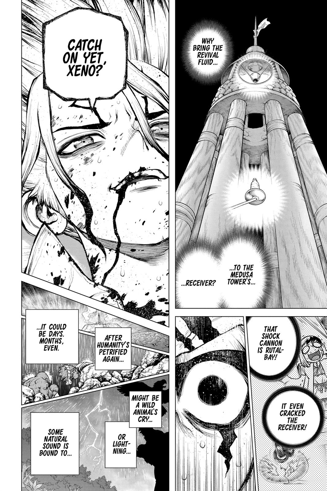 Dr Stone Chapter 192 Page 13