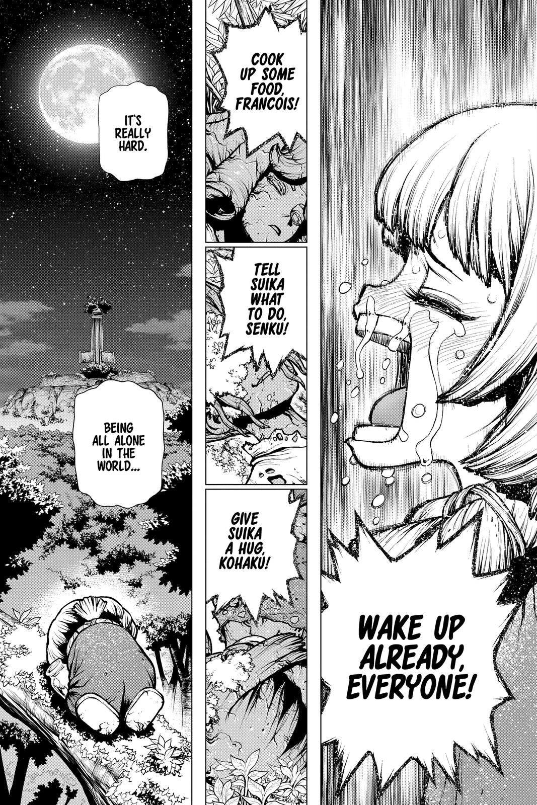 Dr Stone Chapter 194 Page 13