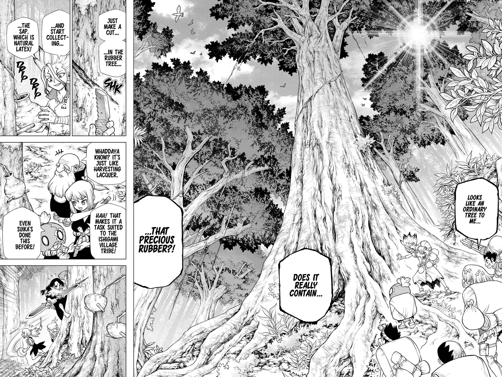 Dr Stone Chapter 174 Page 11