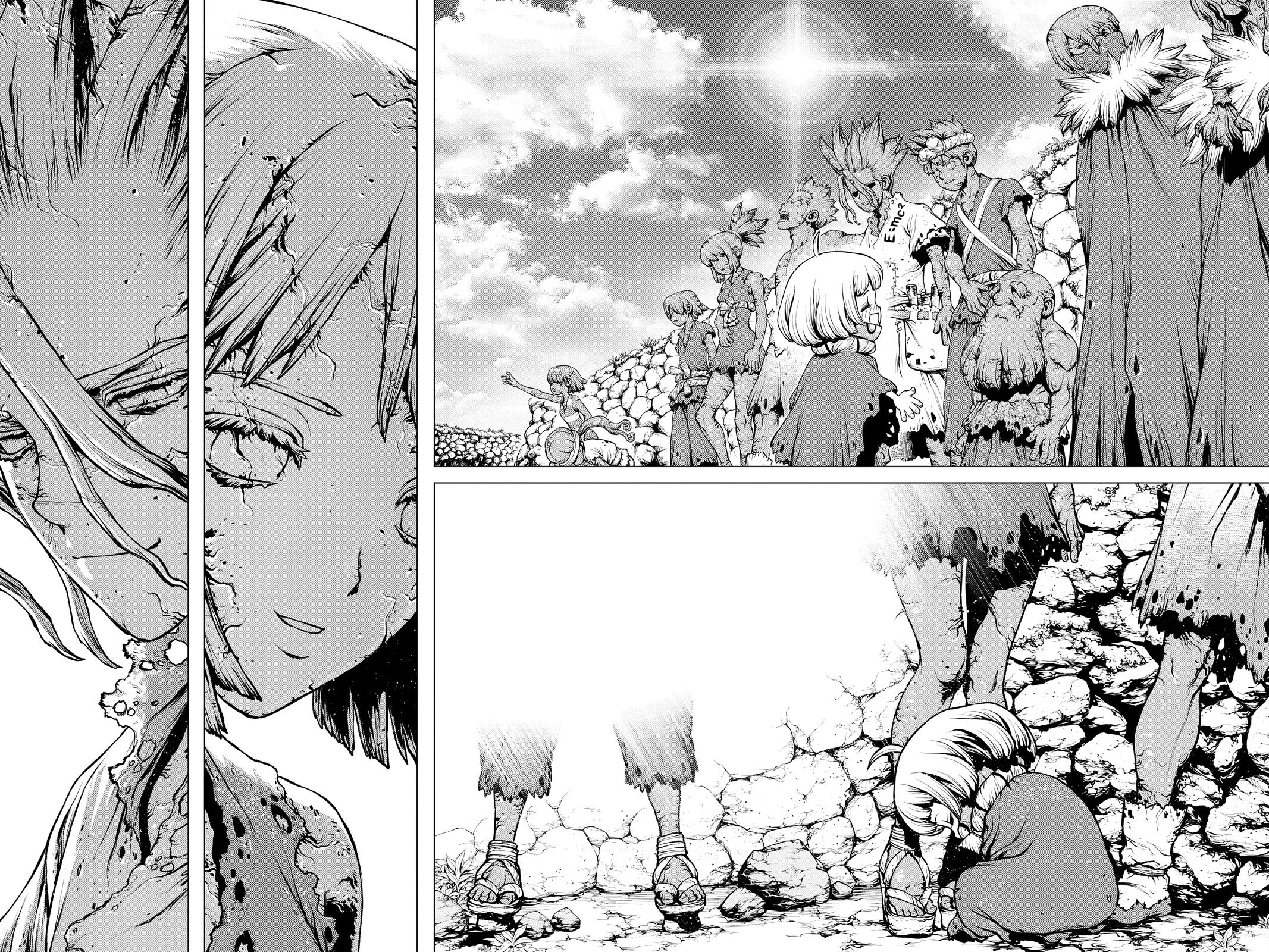 Dr Stone Chapter 195 Page 13